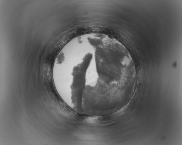 X0000116050178200912111513