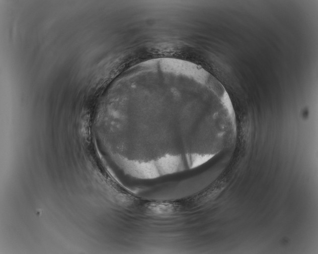 X0000116050181200912111513