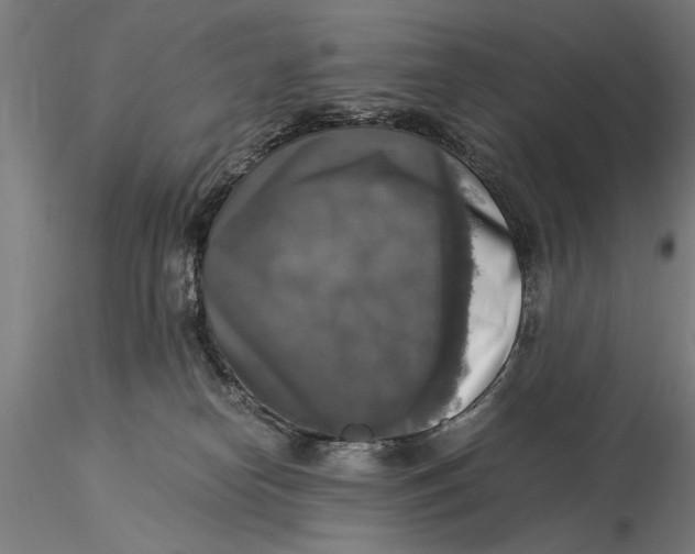 X0000116050182200912111513