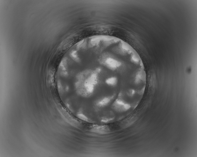 X0000116050185200912111513