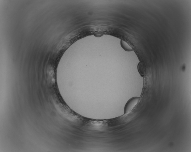 X0000116050187200912111513