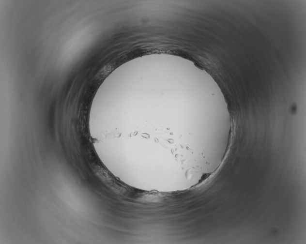 X0000116050190200912111513