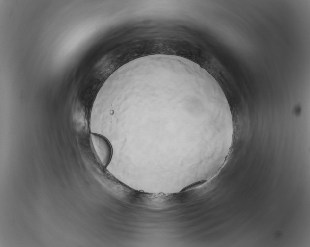 X0000116050191200912111513