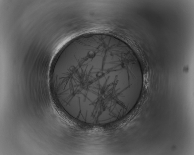 X0000116050196200912111512