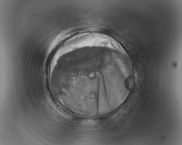 X0000116050198200912111512