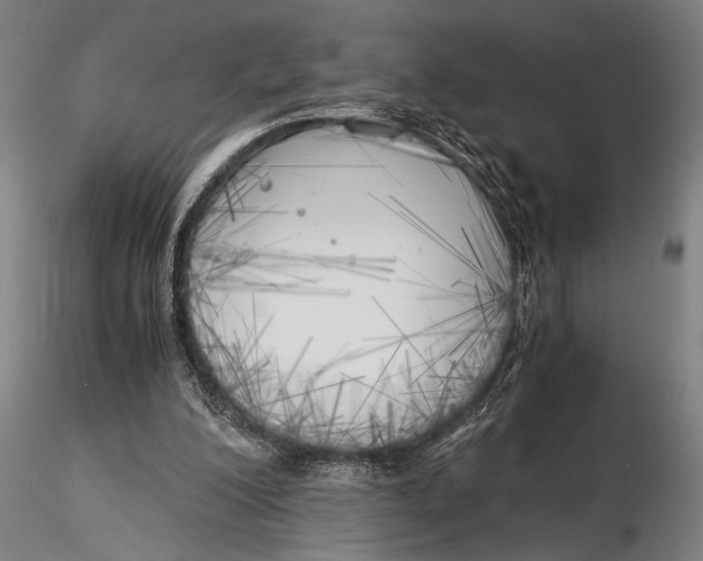 X0000116050200200912111512