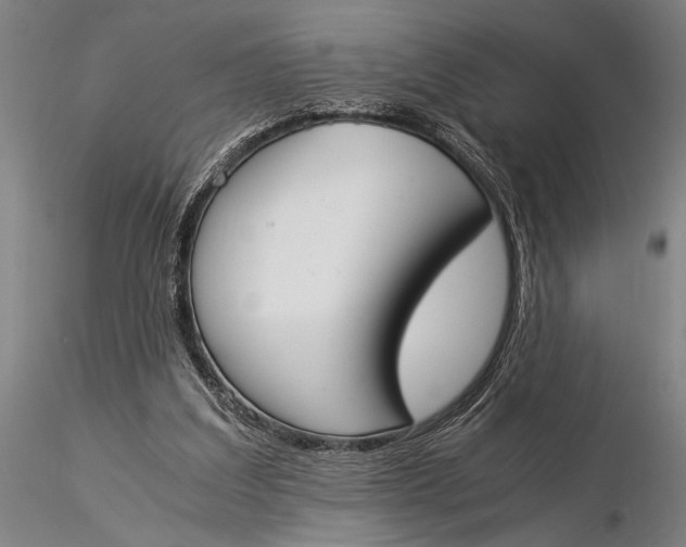 X0000116050203200912111512