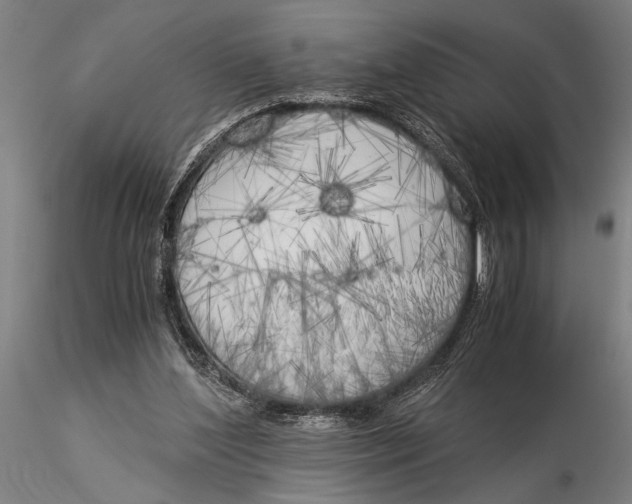 X0000116050204200912111512