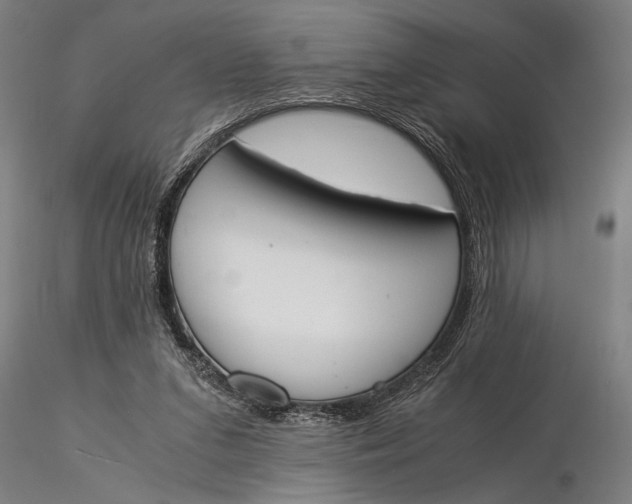 X0000116050207200912111512