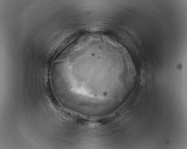 X0000116050210200912111512