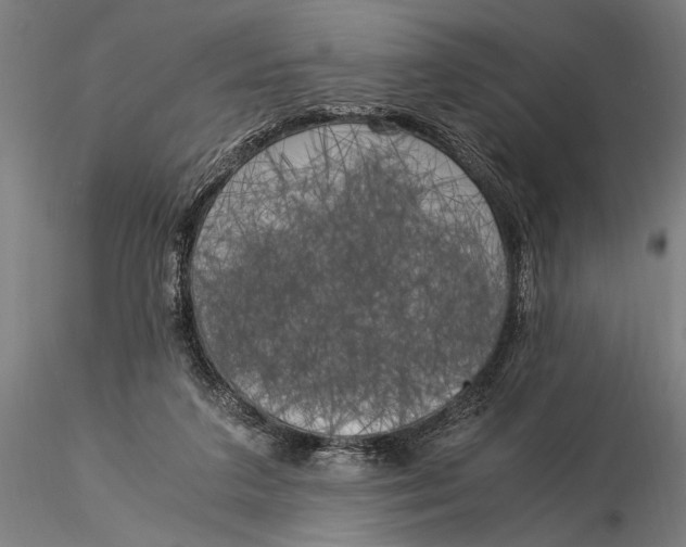 X0000116050211200912111512