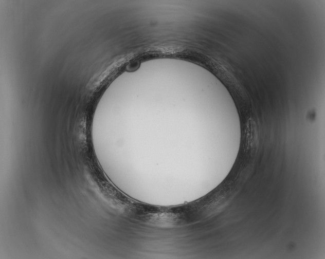 X0000116050212200912111512