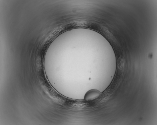 X0000116050213200912111512