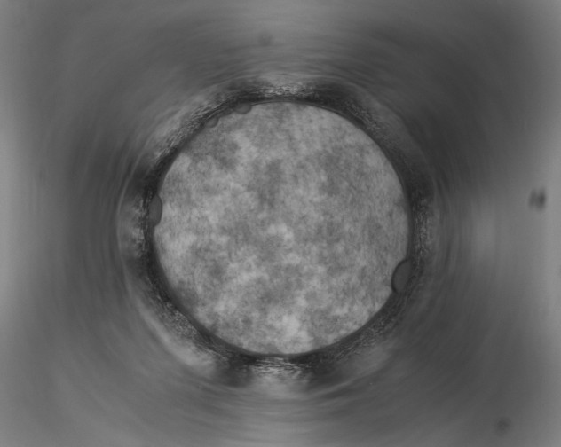 X0000116050215200912111512