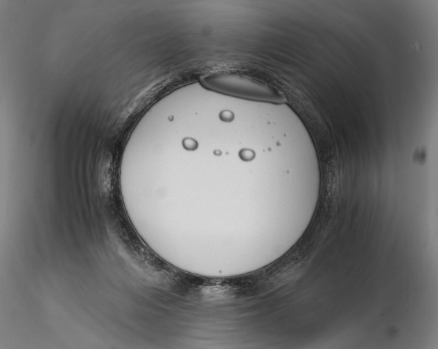 X0000116050216200912111512