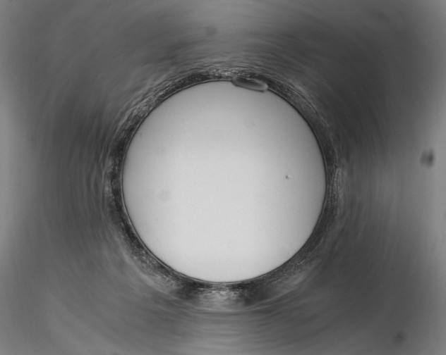 X0000116050217200912111512