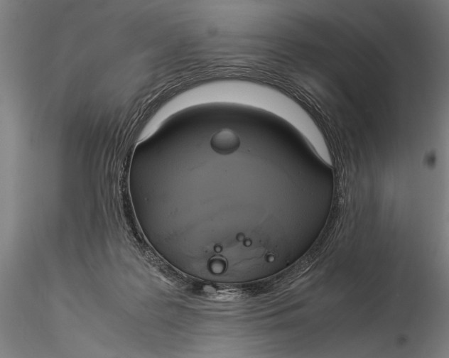 X0000116050219200912111512