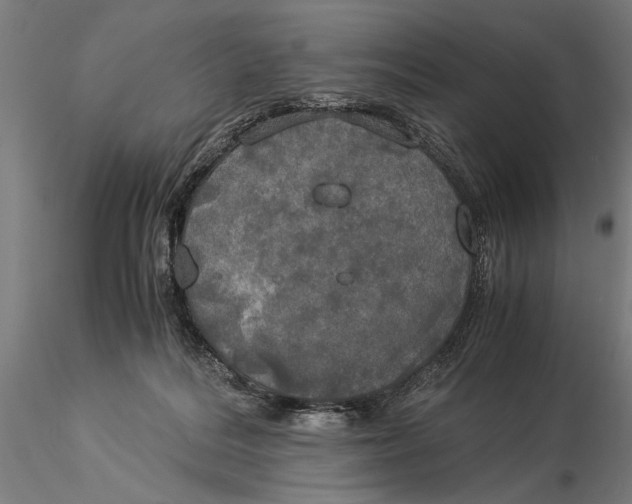 X0000116050220200912111512