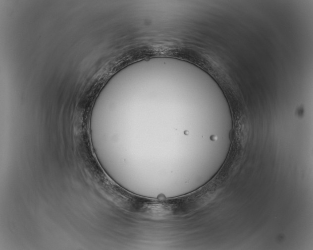 X0000116050221200912111512