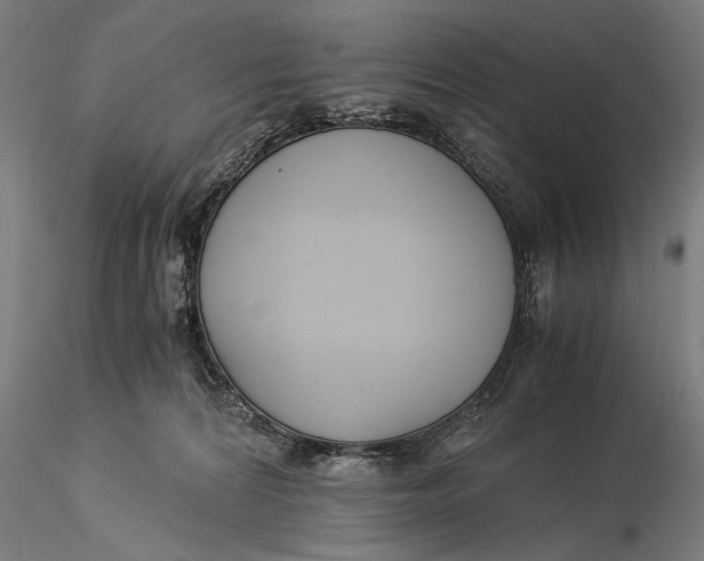 X0000116050224200912111512