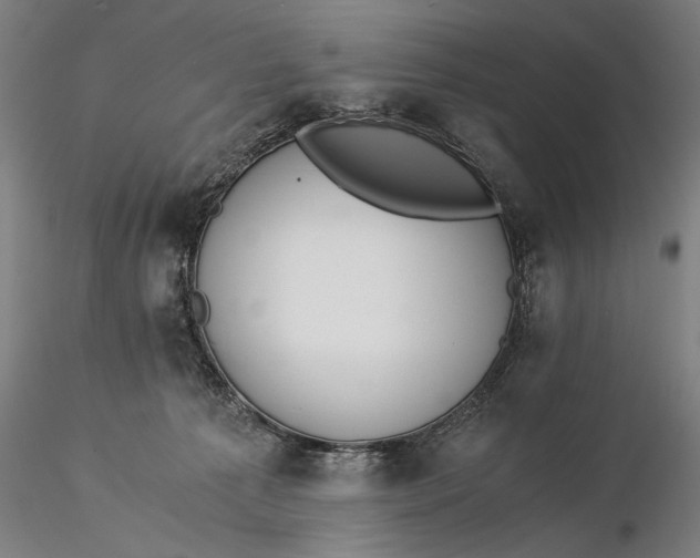 X0000116050225200912111512