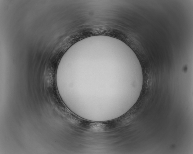 X0000116050226200912111512