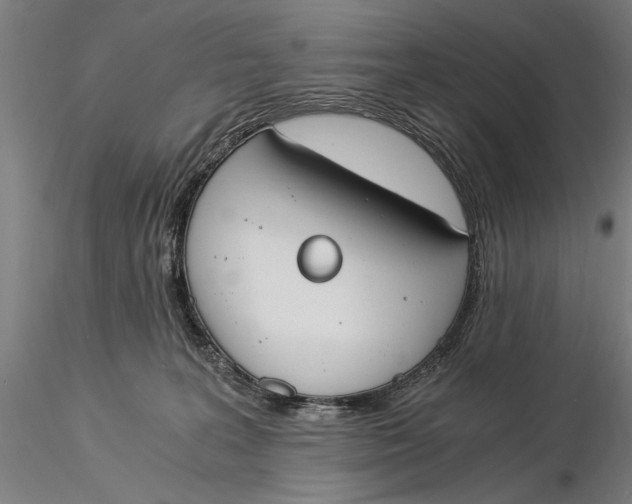 X0000116050227200912111512