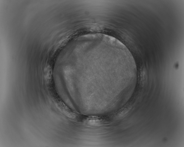 X0000116050228200912111512