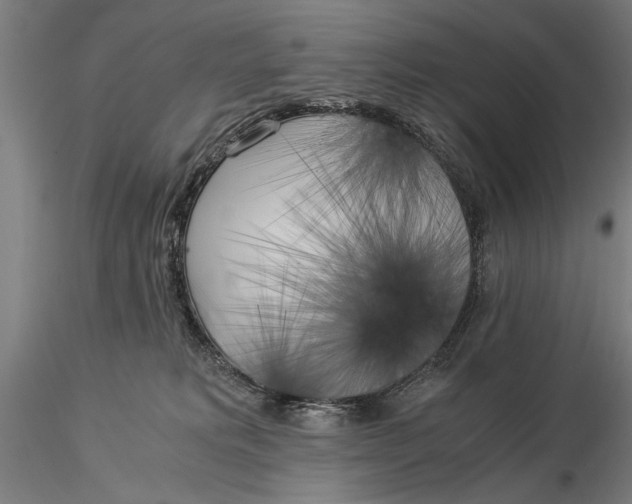 X0000116050229200912111512