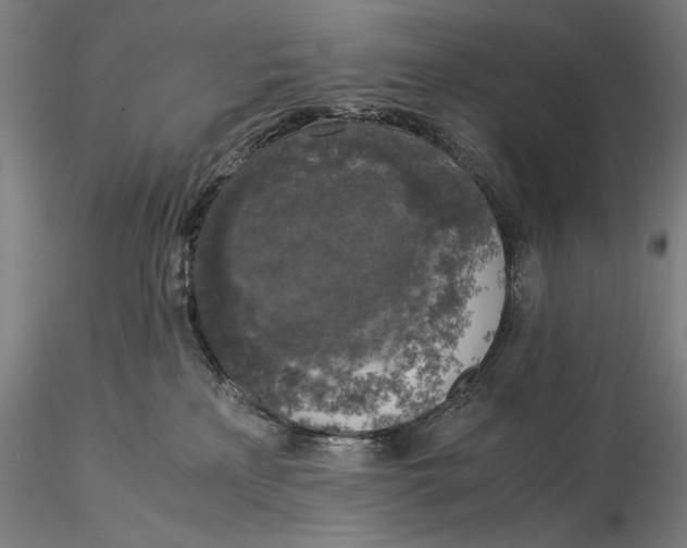 X0000116050233200912111512