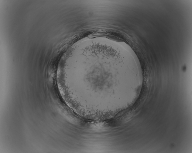 X0000116050235200912111512