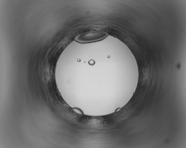 X0000116050236200912111512