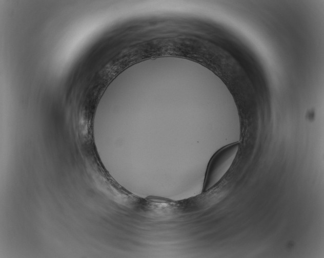 X0000116050239200912111512