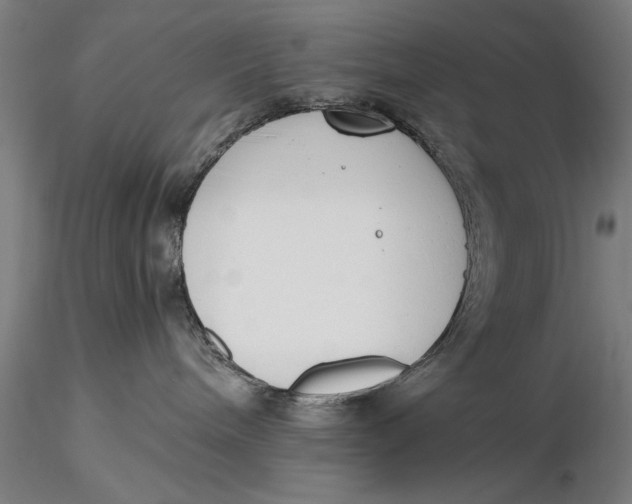 X0000116050240200912111512