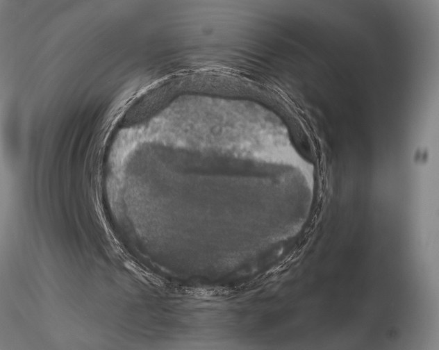 X0000116050241200912111511