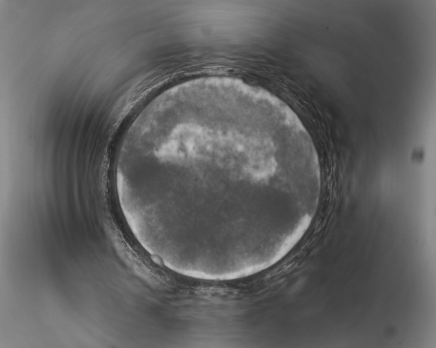 X0000116050242200912111511