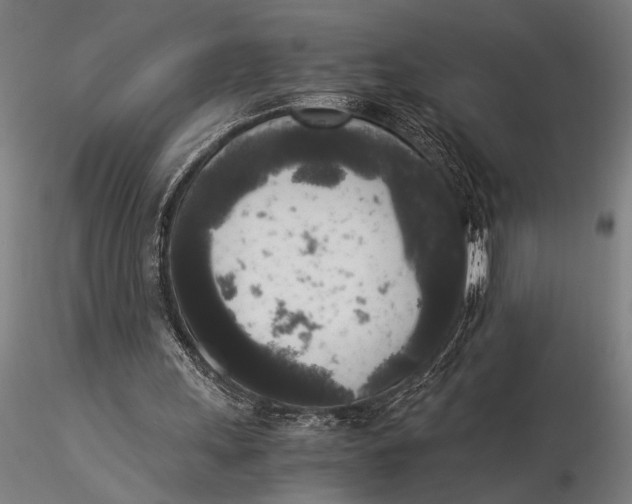 X0000116050243200912111511