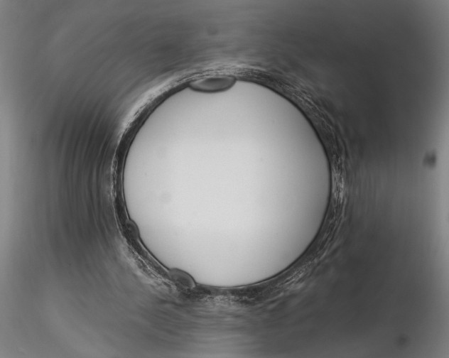 X0000116050244200912111511