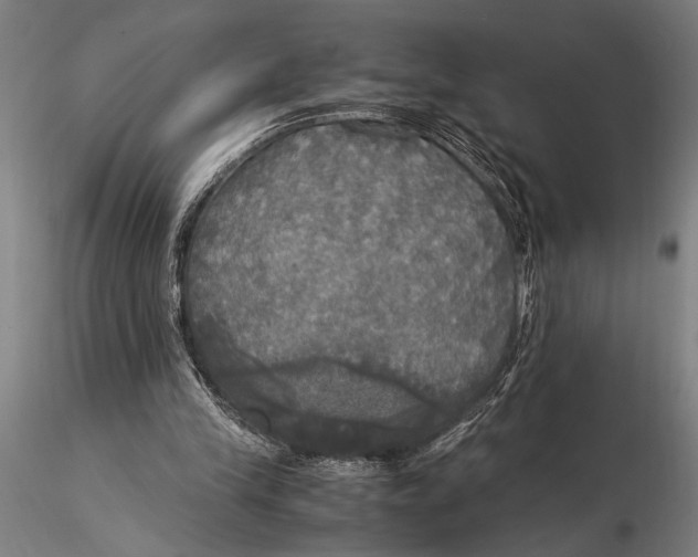 X0000116050245200912111511