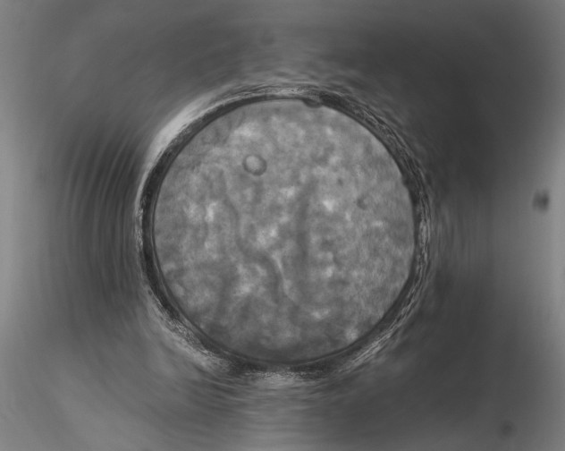 X0000116050246200912111511