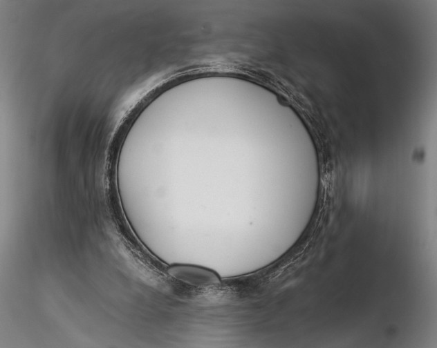 X0000116050248200912111511