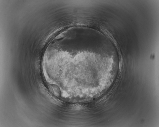 X0000116050249200912111511