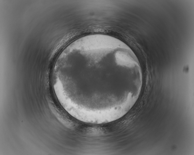 X0000116050250200912111511