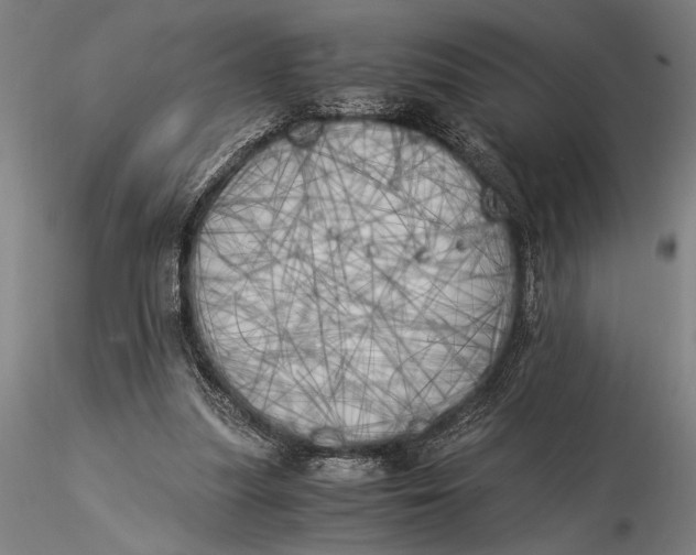 X0000116050251200912111511