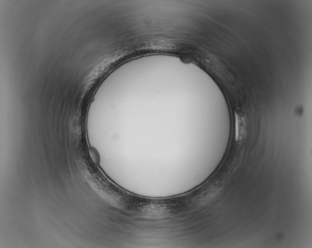 X0000116050252200912111511