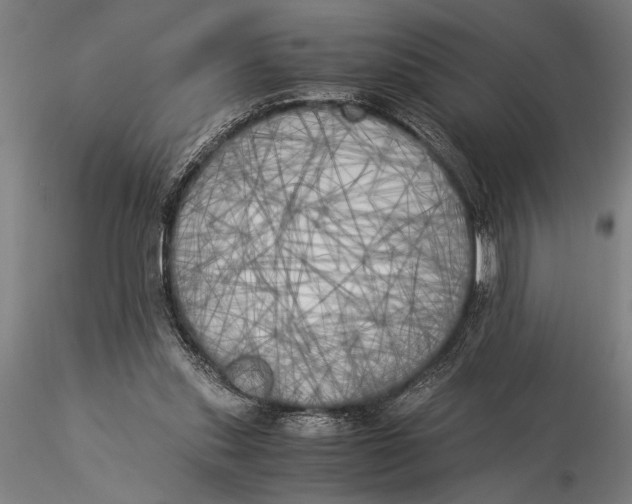 X0000116050253200912111511