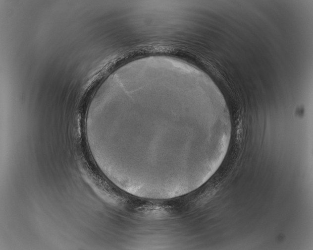 X0000116050254200912111511