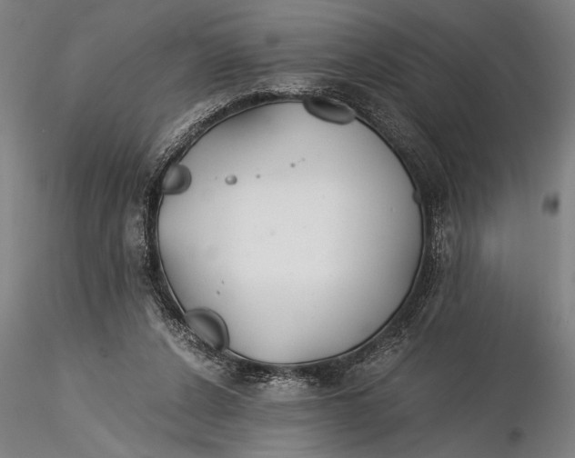 X0000116050256200912111511