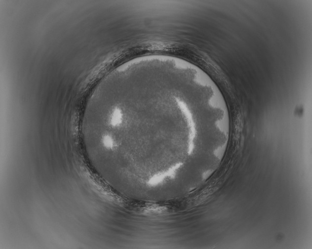 X0000116050257200912111511