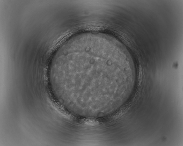 X0000116050258200912111511